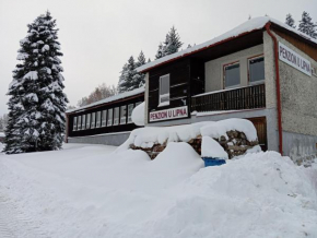 Penzion U Lipna, Predni Vyton